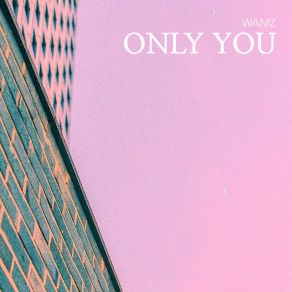 Download track Only You (Inst.) WANIZ