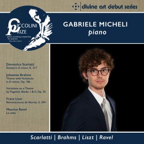 Download track Theme With Variations In D Minor, Op. 18b Gabriele Micheli