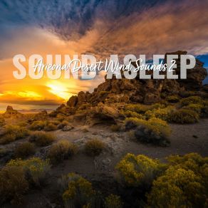 Download track Arizona Desert Wind Sounds, Pt. 1 Elijah Wagner