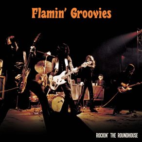 Download track Lover Not A Fighter The Flamin' Groovies