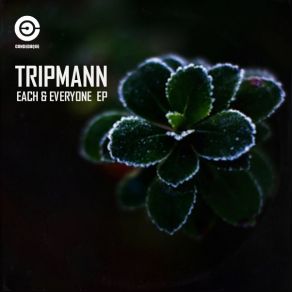 Download track Each & Everyone (Fine Day Mix) Tripmann