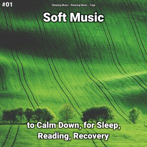 Download track Soft Music, Pt. 50 Yoga