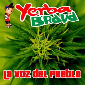 Download track Aprendiendo A Vivir Yerba Brava