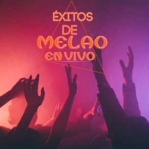 Download track Yo Soy Guanaco (En Vivo) Grupo Melao Internacional