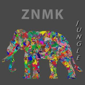 Download track Piano Remembers ZNMK