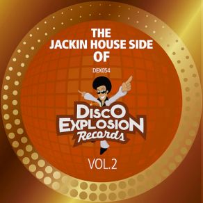 Download track Disco Lady (Original Mix) Dj Fopp