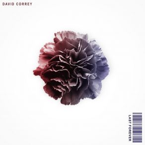 Download track Last Forever David Correy