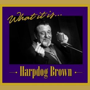 Download track If You Wanna Grow Old Harpdog Brown