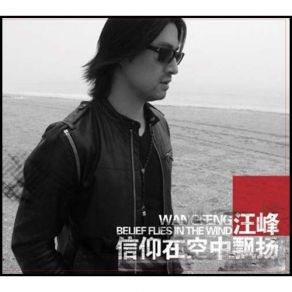 Download track Shoddy Love Wang Feng