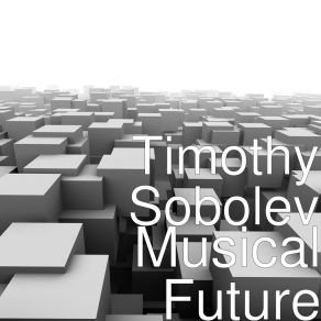 Download track System Timothy Sobolev