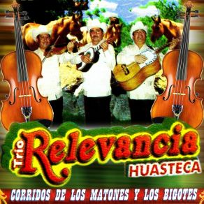 Download track El Potosino Trio Relevancia Huasteca