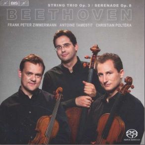 Download track (Trio In E Flat Major For Violin, Viola And Cello, Op. 3) - IV. Adagio Viola, Trio Zimmermann, Christian Poltéra