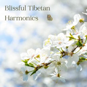 Download track Tibetan Gong Serenades Healing Tibetan Sound Journey