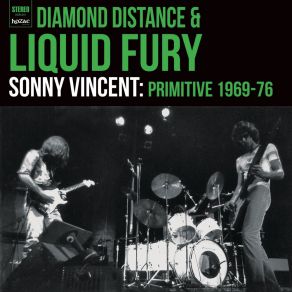 Download track Indecision (1971) Sonny VincentThe Distance