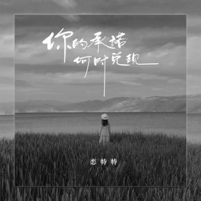 Download track 你的承诺何时兑现 (伴奏) 恋特特