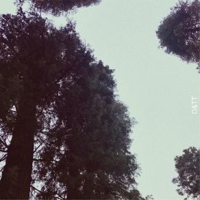 Download track Cloud Kid The Trees