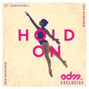 Download track Hold On (Original Mix) Zashanell, Sex Panther
