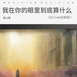 Download track 我在你的眼里到底算什么 (DJ Live合唱版伴奏) 阿能