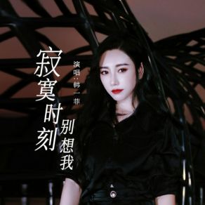 Download track 寂寞时刻别想我 (伴奏版) 韓一菲