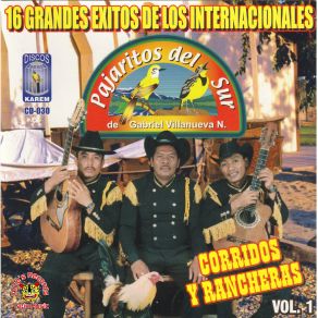 Download track Corrido De Los Galeana Los Pajaritos Del Sur