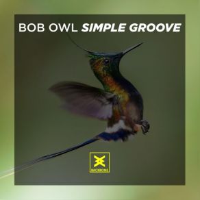 Download track Simple Groove Bob Owl