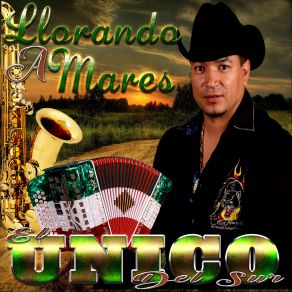 Download track El Toro Josco Del Sur