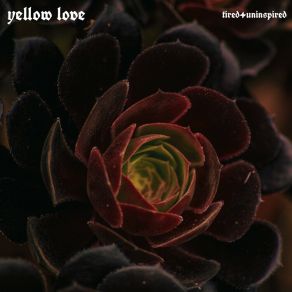 Download track White Noise Yellow Love