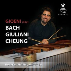 Download track Violin Partita No. 2 In D Minor, BWV 1004 V. Chaconne (Arr. For Marimba) Rosario Gioeni