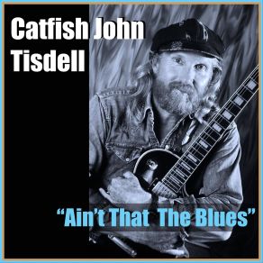 Download track It's Not Over (Until The End) Catfish John Tisdell