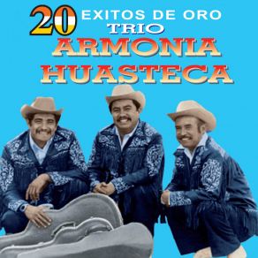 Download track El Potosino Trio Armonia Huasteca