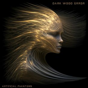 Download track Art Of Paradoxical Logic Dark Wood Error