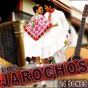 Download track La Tienda Los Jarochos