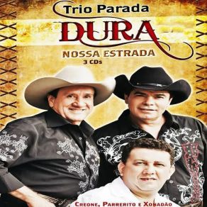 Download track Você De Volta Pra Mim Trio Parada Dura