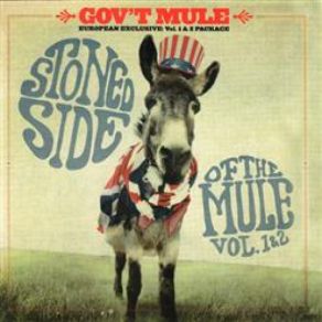 Download track Paint It Black Gov'T Mule