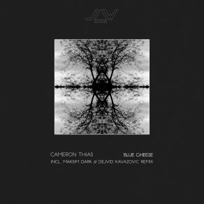 Download track Blue Cheese (Maksim Dark Remix) Cameron Thias