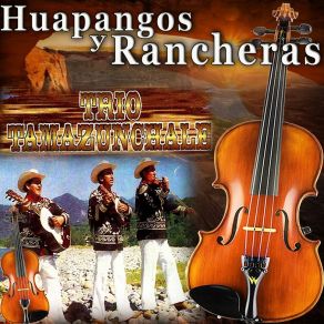 Download track Las 3 Huastecas Trío Tamazunchale