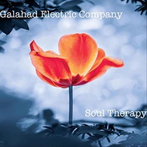 Download track Muted Expectations Galahad Electric Company