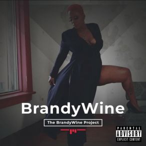 Download track Melaninated Unapologetic Brotha BrandywineBobby Sparks