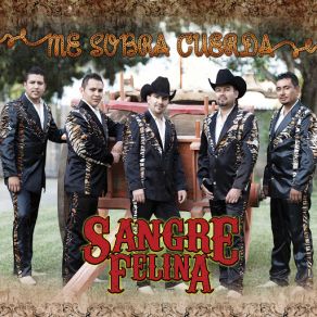 Download track Buscaré Mi Nuevo Amor Sangre Felina