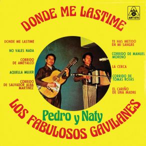 Download track El Cariño De Una Madre Naty Los Fabulosos Gavilanes