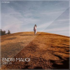 Download track Danjela Endri Maliqi