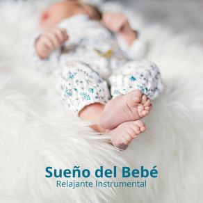 Download track Musica Bebes RW Para Dormir