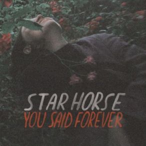 Download track Of The Universe Star Horse