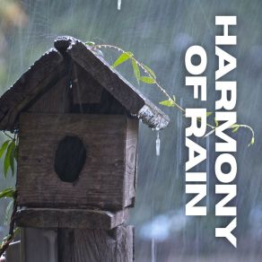 Download track Thundering Rain For Peaceful Reading, Pt. 10 The Sound Of The Rain