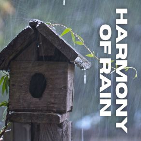 Download track Thundering Rain For Peaceful Reading, Pt. 8 The Sound Of The Rain