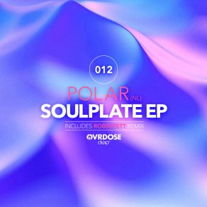 Download track Soulplate (Robin Fett Remix) Polar (NL)Robin Fett