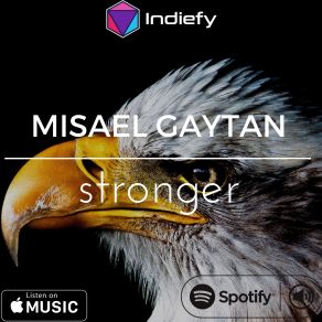 Download track Stronger Misael Gaytan