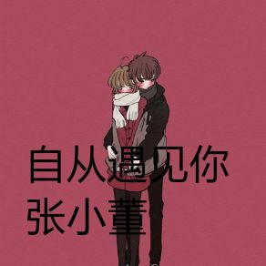 Download track 自从遇见你 (伴奏) 张小董