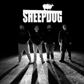 Download track Blue Skies SheepDog