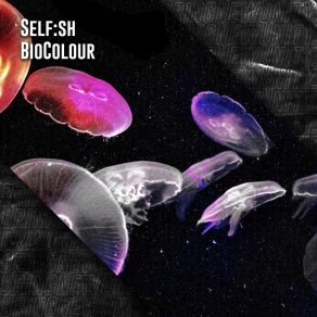 Download track Biocolour Self: Sh